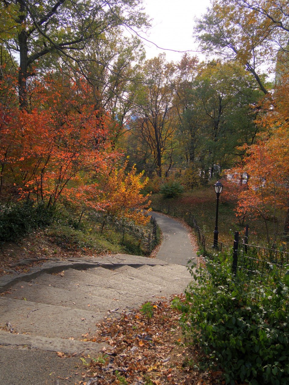 Fall Path in Central Park
