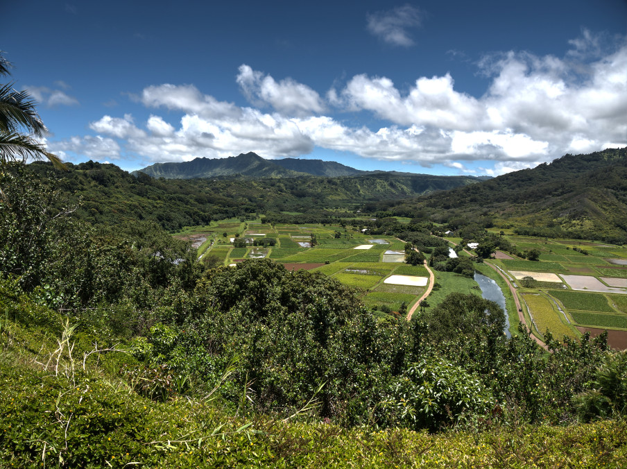 Hawaii Photography by CyberShutterbug