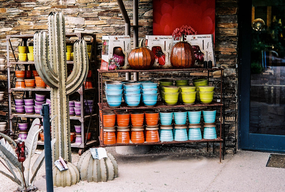 Southwestern Colors for the Garden