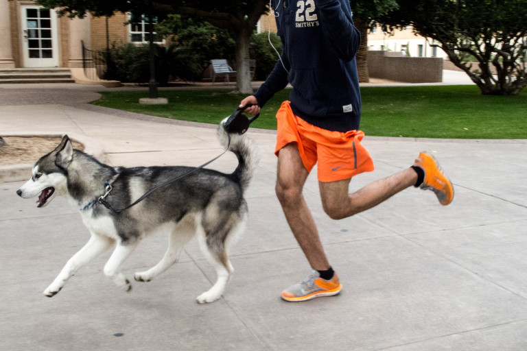 Dog Run Photography by CyberShutterbug