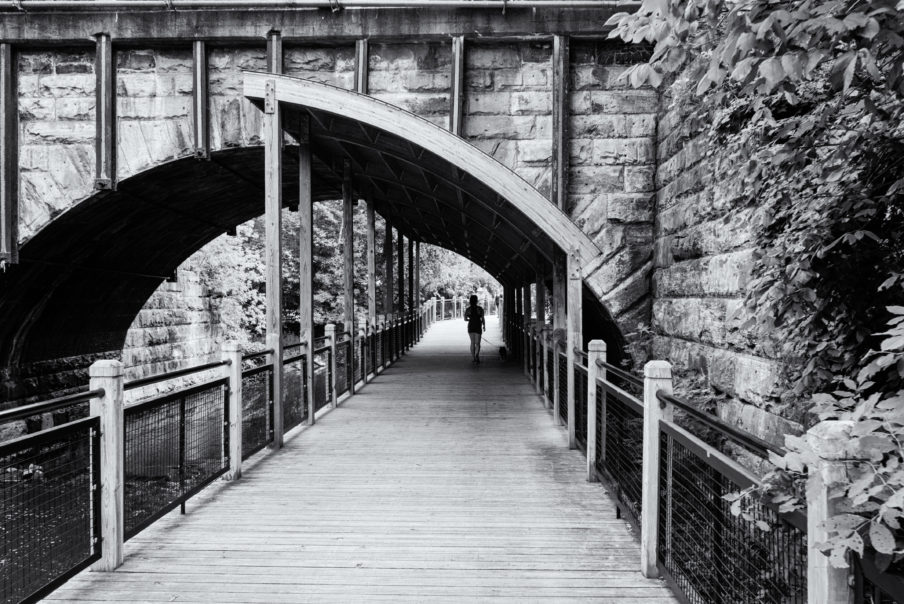Bridge Walk with Dog Photography by CyberShutterbug