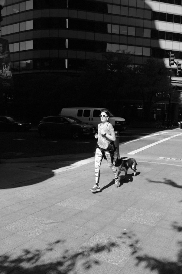 Dog Run Photography by CyberShutterbug