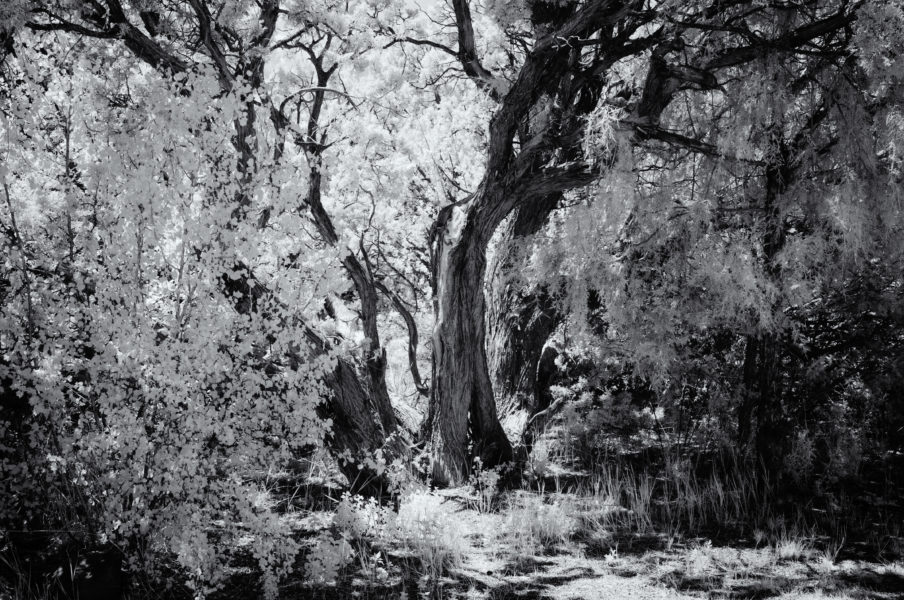 High Desert Wonderland \u2013 Photography by CyberShutterbug