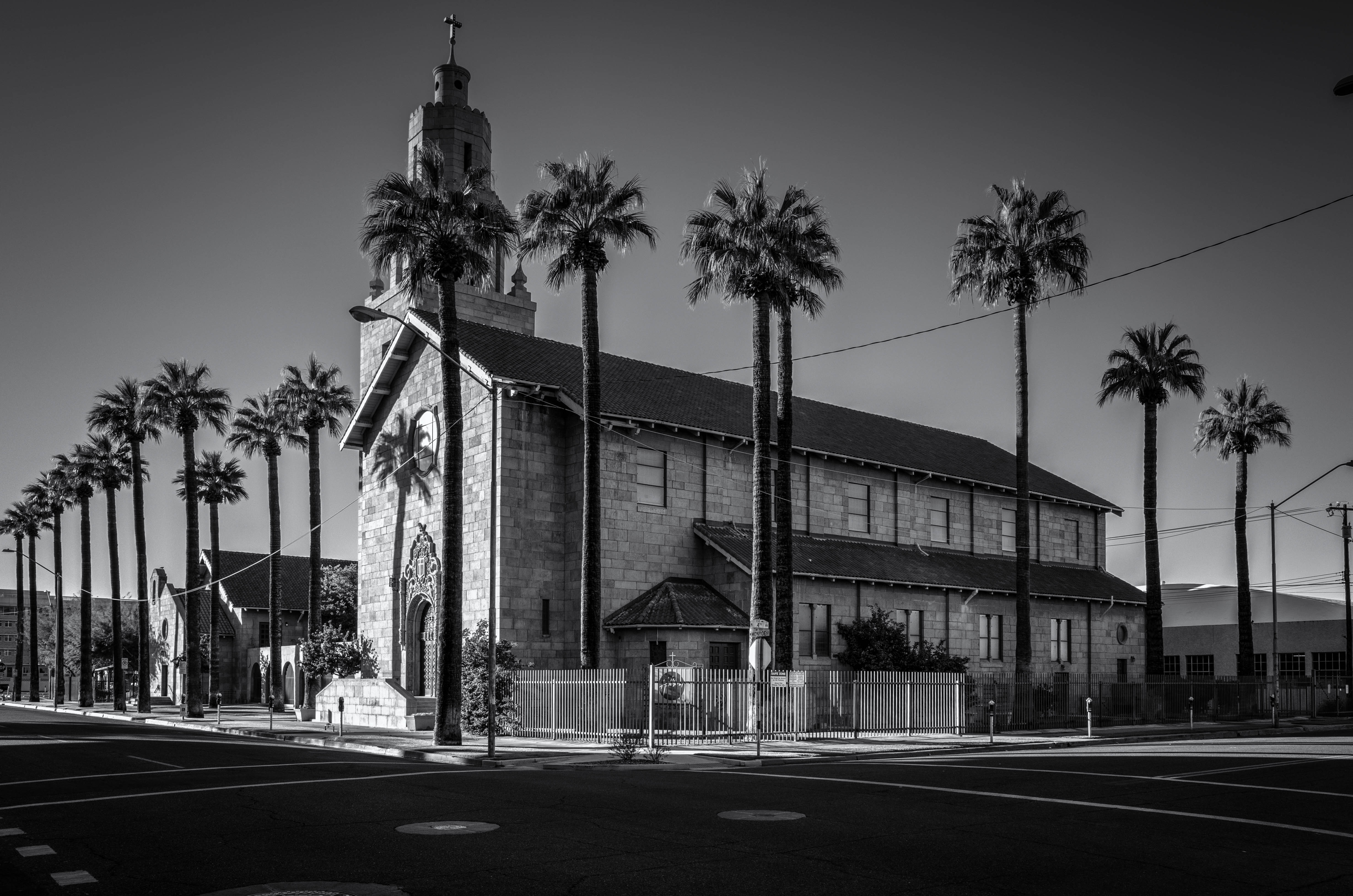 palm-framed-church-bw