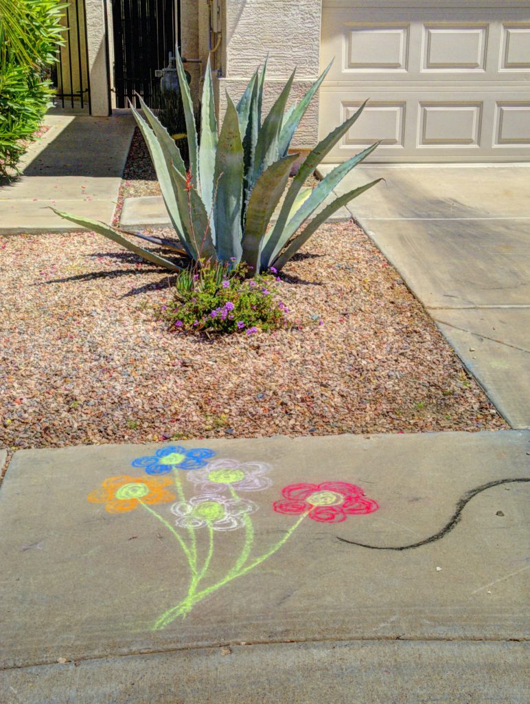 Pandemic Art Flowers Photography by CyberShutterbug