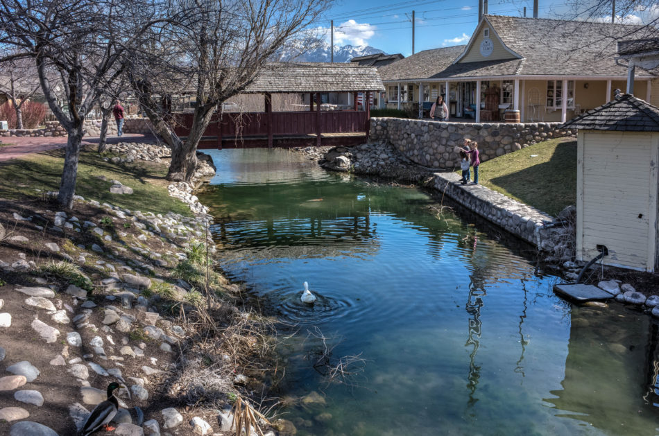 The Blue Creek Photography by CyberShutterbug