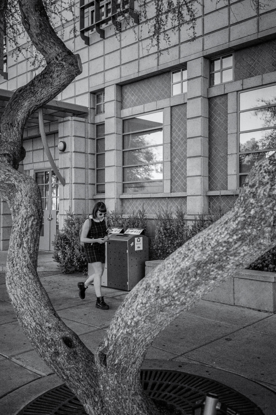 Tree Framed Photography by CyberShutterbug